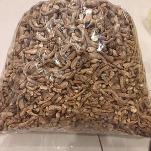 TIGE SHIITAKE PREMIUM/RICHE EN FIBRES/ÉTIQUETTE PROPRE/À BASE DE PLANTES - Product Image 1