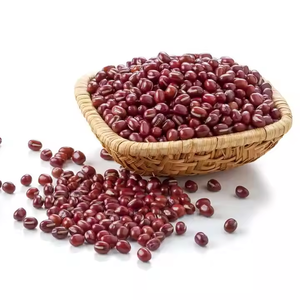 Frijoles rojos oscuros orgánicos de gran venta, tamaño grande 180-220 granos/100g certificados para uso alimentario, envasado a granel - Product Image 4