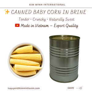 Maïs en conserve du Vietnam en saumure Vente en gros & Service OEM - Product Image 6