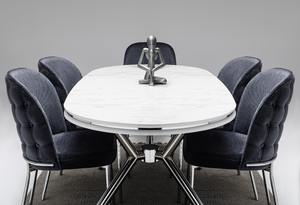 Ensemble de meubles de salle à manger en acier inoxydable, élégants, modernes et élégants, 1 table et 6 chaises avec 2 ans de garantie pour villa ou cuisine - Product Image 5