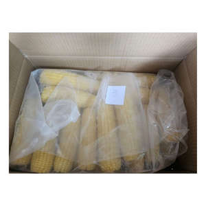 Sabroso maíz congelado en la mazorca con color amarillo brillante y textura suave, listo para cocinar, asar a la parrilla o empaquetar - Product Image 4