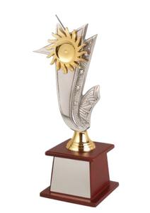 Trofeo de Campeonato de Metal Duradero para Exhibición a Largo Plazo en Pabellones Deportivos y Locales de Eventos - Product Image 2