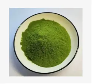 绿色海藻植物提取物干燥绿色海藻粉海藻提取物饲料