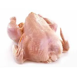 Poulet entier congelé halal de qualité supérieure