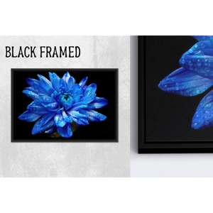 Toile imprimée : Décoration artistique moderne de luxe avec fleurs bleues sur verre, 1P Blackframedcanvas - Product Image 1