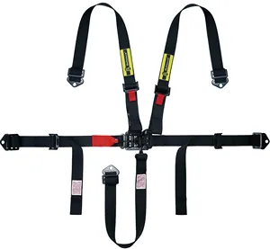 Beltenick SFI Approved 5 Point Sport Car Driver Racing Safety Harnesses/Seat Belt For Racing Car RJ-200