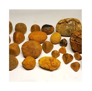 Top Quality Ox Gallstones/cattle Gallstones/animal Gallstone for Sale - Product Image 5