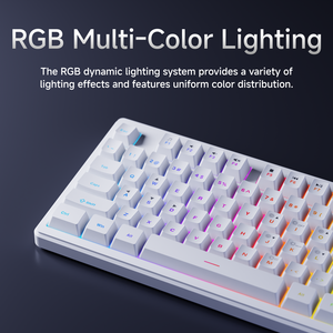 <span class=keywords><strong>Clavier</strong></span> à membrane EWEADN F75 à connexion tri-mode, sans fil 2,4 GHz, rétroéclairage RVB, interrupteurs Gateron, touches translucides ABS, pour jeux - Product Image 2