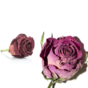 Pétalos de rosa roja seca de primera calidad | Para té, postres y productos de spa - Product Image 6