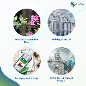 Huile essentielle de Salvia Anthopogono 100% pure, huile essentielle naturelle, vente en gros, prix bas, emballage personnalisé, soins de santé, soins de la peau, beauté - Product Image 4