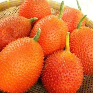 VIANDE GAC CONGELÉE PREMIUM | COLORANT NATUREL ET BOOSTER NUTRITIONNEL - Product Image 1