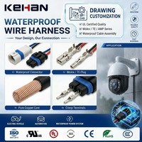 Pabrik profesional UL bersertifikat Molex TE AMP kawat tahan air Harness 2 Pin kabel perakitan