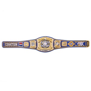 Conçu sur mesure WWE Championship Wrestling Belts 4mm Zinc Plaques Bracelet en cuir World Heavyweight Champion Belt Ronpex - Product Image 5