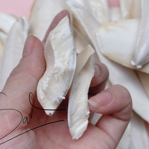 Os de seiche coupé en gros, os de seiche bon marché en vrac - Product Image 1