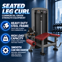 Équipement de musculation BN Commercial Strength pour club de fitness, studio de fitness boutique, centre d'entraînement sportif, machine à flexions des jambes allongées