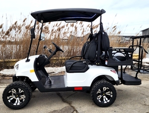 NOUVELLE OFFRE POUR CHARIOT DE GOLF UTILITAIRE 200cc ÉDITION ESSENCE - Product Image 2