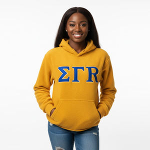 Sudadera con Capucha Personalizada de Felpa Azul Rey con Letras Griegas Doradas, Logotipo Bordado para Mujer, OEM, Ropa Ecológica de Invierno para Hermandades - Product Image 3