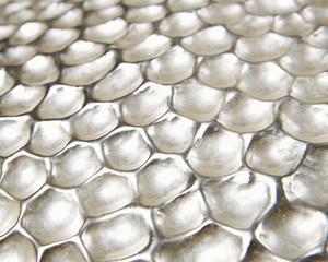 ชามใบไม้ใส่ผลไม้และถั่วแห้งชามเสิร์ฟพร้อมที่วางสาขาสำหรับงานแต่งงานกลางจานและจาน - Product Image 4