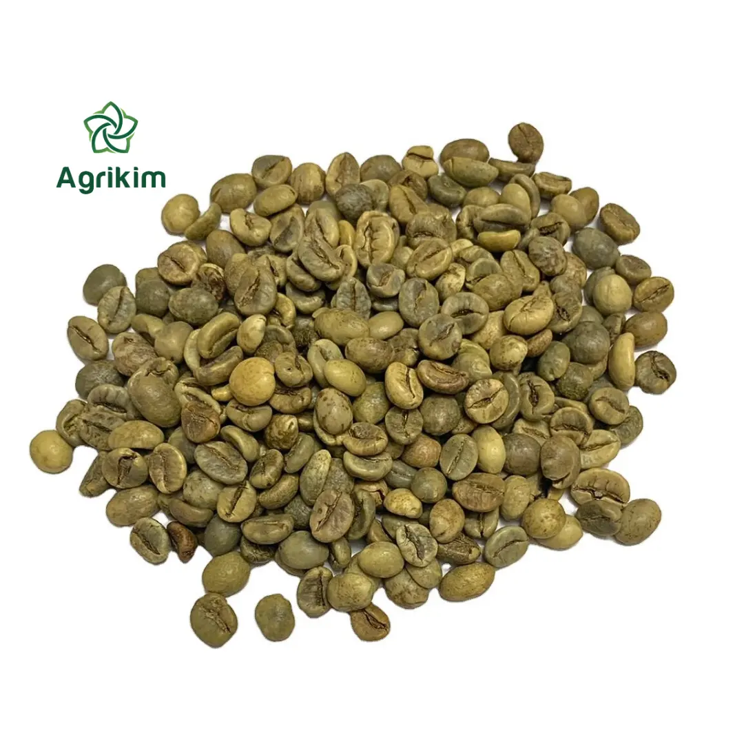 ベトナムロブスタアラビカコーヒー豆100% 天然グリーンコーヒー豆魅力的なフレーバー