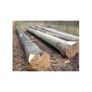 Scie à bois Hanvy nouvelle génération, 8 pieds, robuste, haute capacité, pour bûches de bois de hêtre, modèle 1500, ornements 6 - Product Image 6