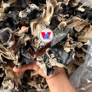 Вьетнам, Лучшая цена, целая распродажа, сушеный древесный ушной гриб, черный грибок от VIET NAM/ MS. LAURA - Product Image 4