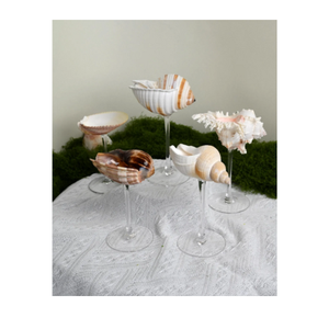Seashell <b>Glasses</b> Produced from Real Seashell Coastal Drinkware for Holiday Homes and Bars Vietnam - Product Image 6