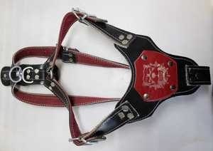 Nuevos collares de cuerpo de cuero genuino de lujo Collar de perro de producción especial Producto de rendimiento de precio Collar de perro - Product Image 2