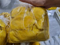 Natuurlijk gedroogde mango, FD-geprocesseerd, bulkverpakking, Vietnam, zoete, kauwbare snack voor internationale importeurs van voedsel.