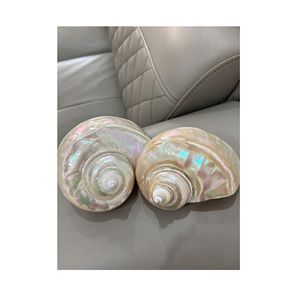Stylish <b>Conch</b> Shell Napkin <b>Ring</b> Hand-Polished Seashell Holder Elegant Feng Shui Dining Table Sets Handicraft Souvenir Vietnam - Product Image 1