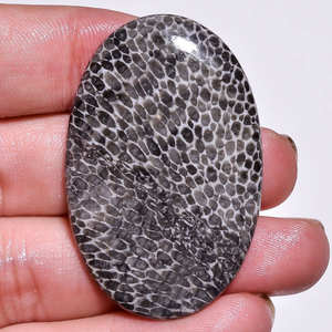 Cabujón de Coral fósil negro pulido suave de alta calidad, tamaño personalizable, piedras preciosas sueltas semipreciosas naturales - Product Image 3