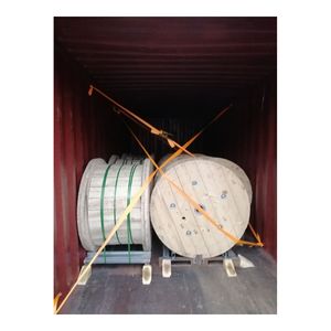 Línea de control 1/4x0.065 Material desnudo o encapsulado 316L Burst 34.560 PSI Presión de trabajo máxima recomendada 19.840 psi - Product Image 5