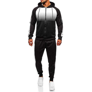 Sudadera con capucha y logotipo personalizado, chándal de 2 piezas para hombre, ropa de invierno de alta calidad, conjunto de chándal OEM de talla grande - Product Image 1