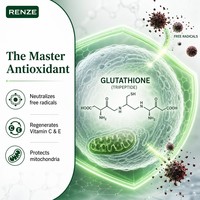 Poudre de Glutathion Réduit 98% GSH de Qualité Cosmétique, L-Glutathion, Antioxydant Supérieur, Éclaircissement de la Peau, Soutien Hépatique, Fourniture Directe Usine