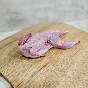 Vente en gros de caille congelée de viande naturelle fraîchement transformée de haute qualité pour les détaillants et les clients en vrac - Product Image 5