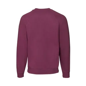 Personalized Classic Raglan Promotional <b>Hoodies</b> & Sweatshirts Customizable Merchandise - Product Image 2