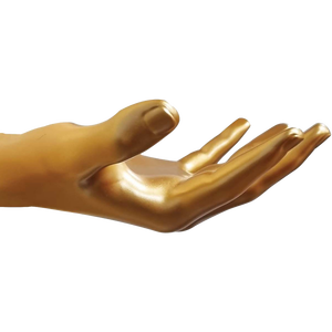 Support mural pour volley-ball, solution de rangement - Product Image 5