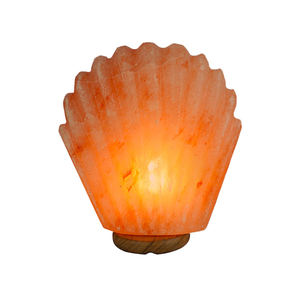 Lampe au sel de l'Himalaya sculptée à la main de haute qualité de meilleure qualité Décoration intérieure moderne écologique Artisanat naturel le plus vendu - Product Image 1