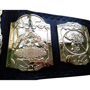 Wrestling Championship Belts Trophées Médailles et récompenses le symbole ultime de la victoire et de l'excellence Ceintures de championnat - Product Image 3