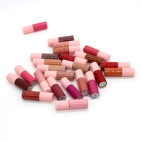 Kit de rouge à lèvres mignon sans marque de couleur différente personnalisé miroitant lèvres repulpant marque privée coloré cosmétique paillettes bonbons brillant à lèvres