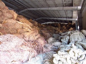 Jacinto de agua seco de Vietnam, material natural de jacinto de agua para artesanía, tejido, muebles, cestas, precio de fábrica 2026 - Product Image 2