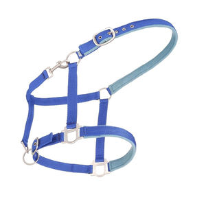 Vente en gros de bride d'équitation avec logo personnalisé Meilleure vente de licous en cuir à bas prix avec design personnalisé disponible - Product Image 3