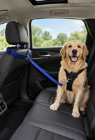 Corde de voiture en nylon solide réglable et durable pour chiens et chats