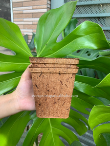 กระถางต้นไม้มะพร้าววัสดุเป็นมิตรกับสิ่งแวดล้อมกระถางดอกไม้เส้นใยมะพร้าวสามารถปรับแต่งบรรจุภัณฑ์และขนาดตามความต้องการของลูกค้า - Product Image 5