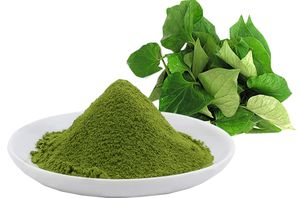 ผงมิ้นต์ปลาคุณภาพจากผู้ผลิตที่แท้จริง - Product Image 5