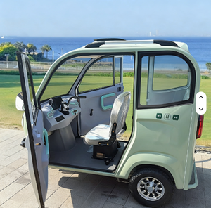 Tricycle Électrique Pas Cher à 2 Portes et 3 Places, Scooter à Cabine Fermée, Moto à Trois Roues, Tuktuk pour Adultes et Famille - Product Image 1