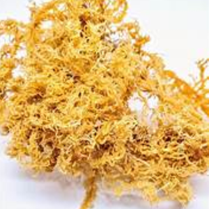 Secretos naturales para el cuidado de la salud con musgo marino: comida dorada del mar - Product Image 5
