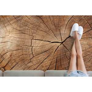 Tapis à motif de souches d'arbres : Tapis d'appoint moderne pour salon, tapis fin non tissé - Product Image 2