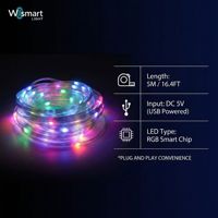 Guirlande lumineuse LED intelligente RGB Dream Color 5V USB, 5M, IP65, étanche, contrôle par application, synchronisation musicale, fil de cuivre, décoration de Noël
