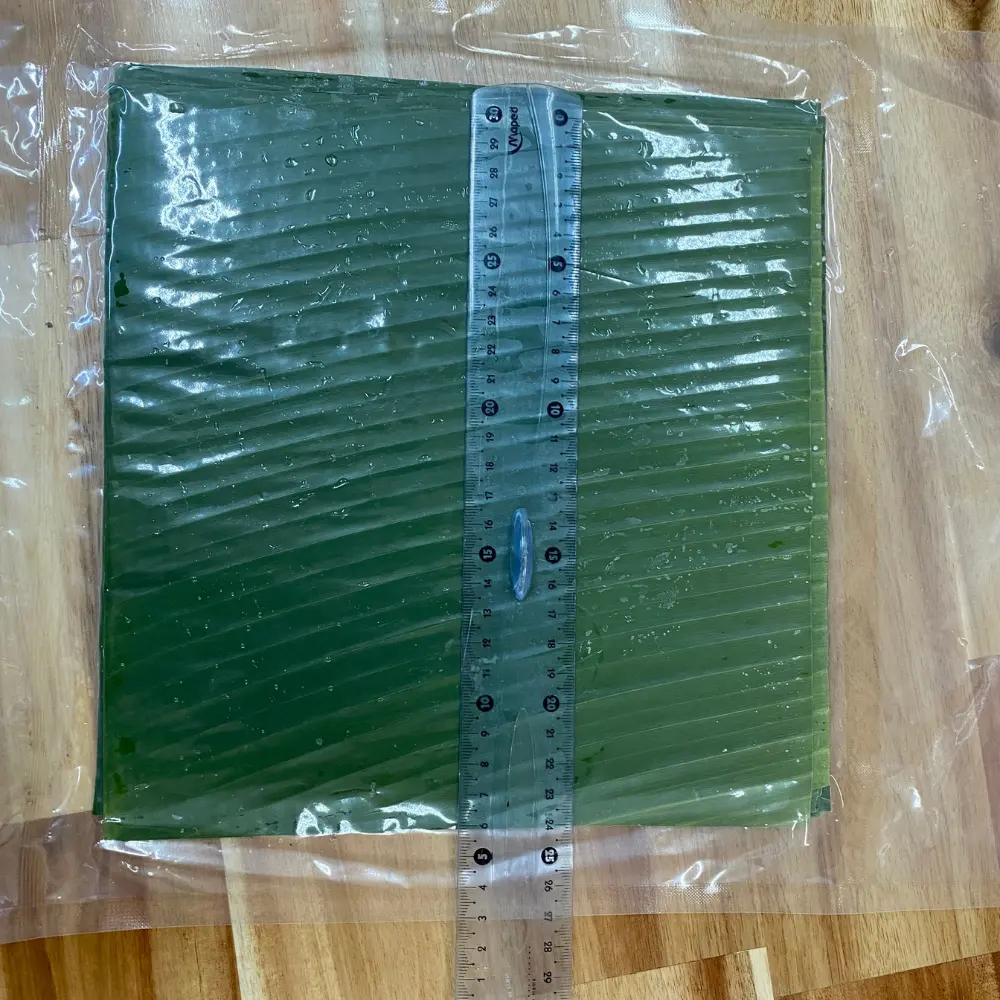 Frozen Clean surface banana round leaf Freezing banana leave no chemical from Viet Nam