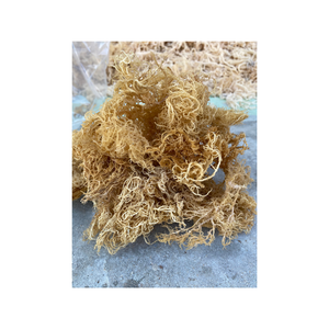 Algas naturales con colores naturales, algas con sabores dulces y salados en envases al por mayor adecuados para todas las edades - Product Image 5